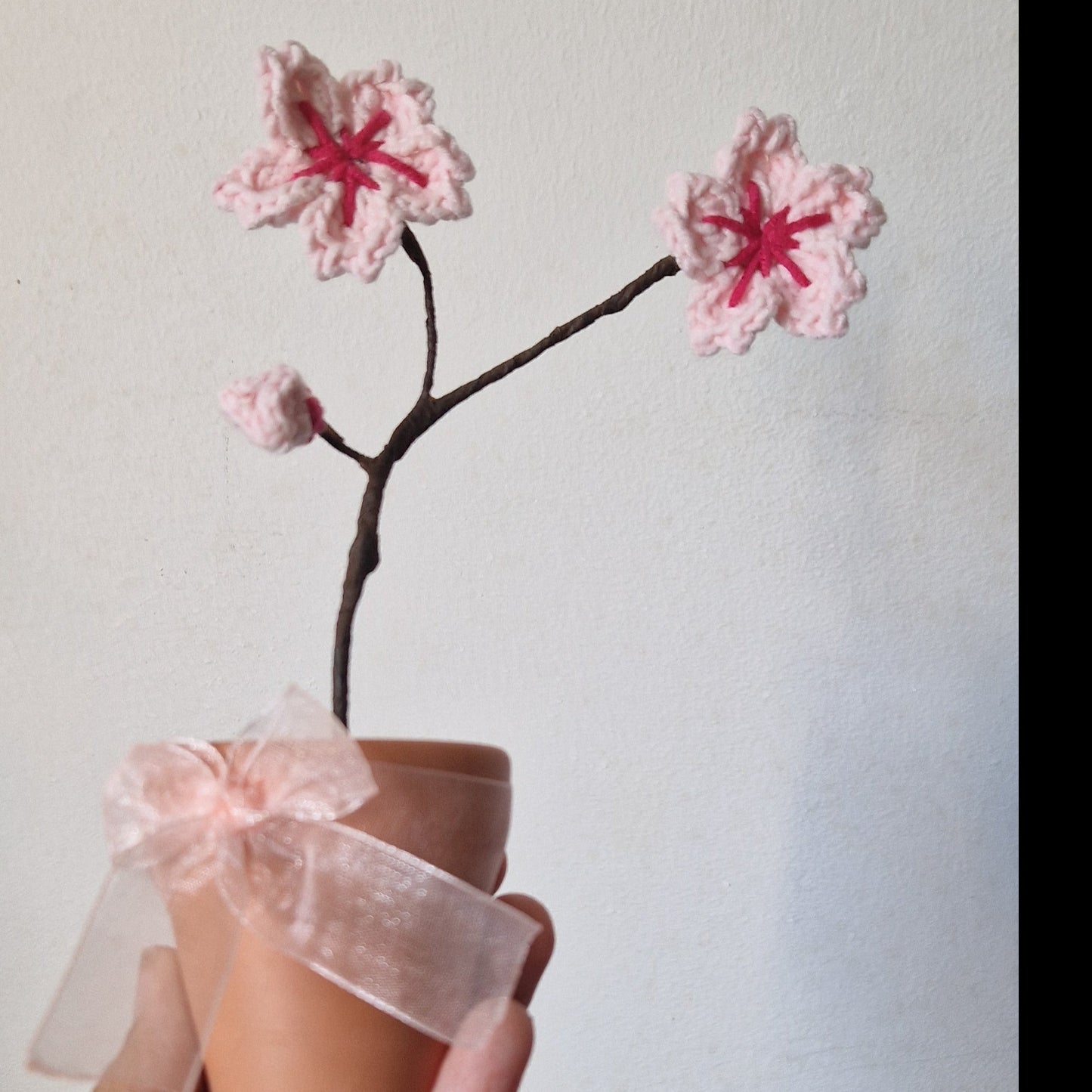 Potted cherry blossom