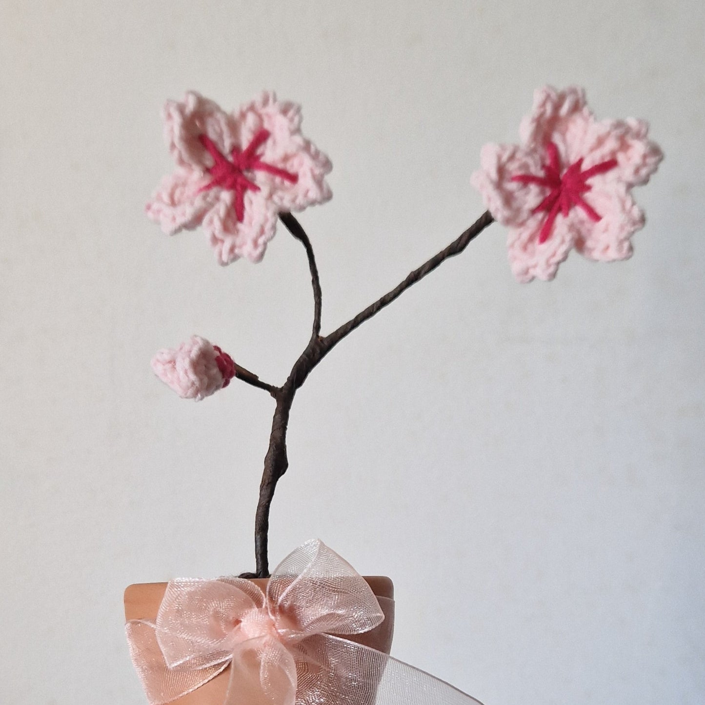 Potted cherry blossom