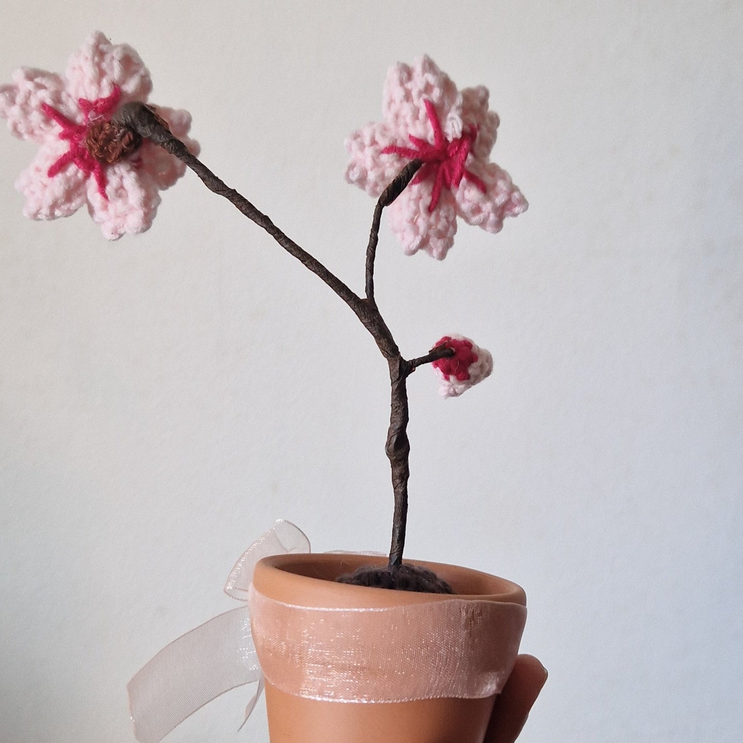 Potted cherry blossom