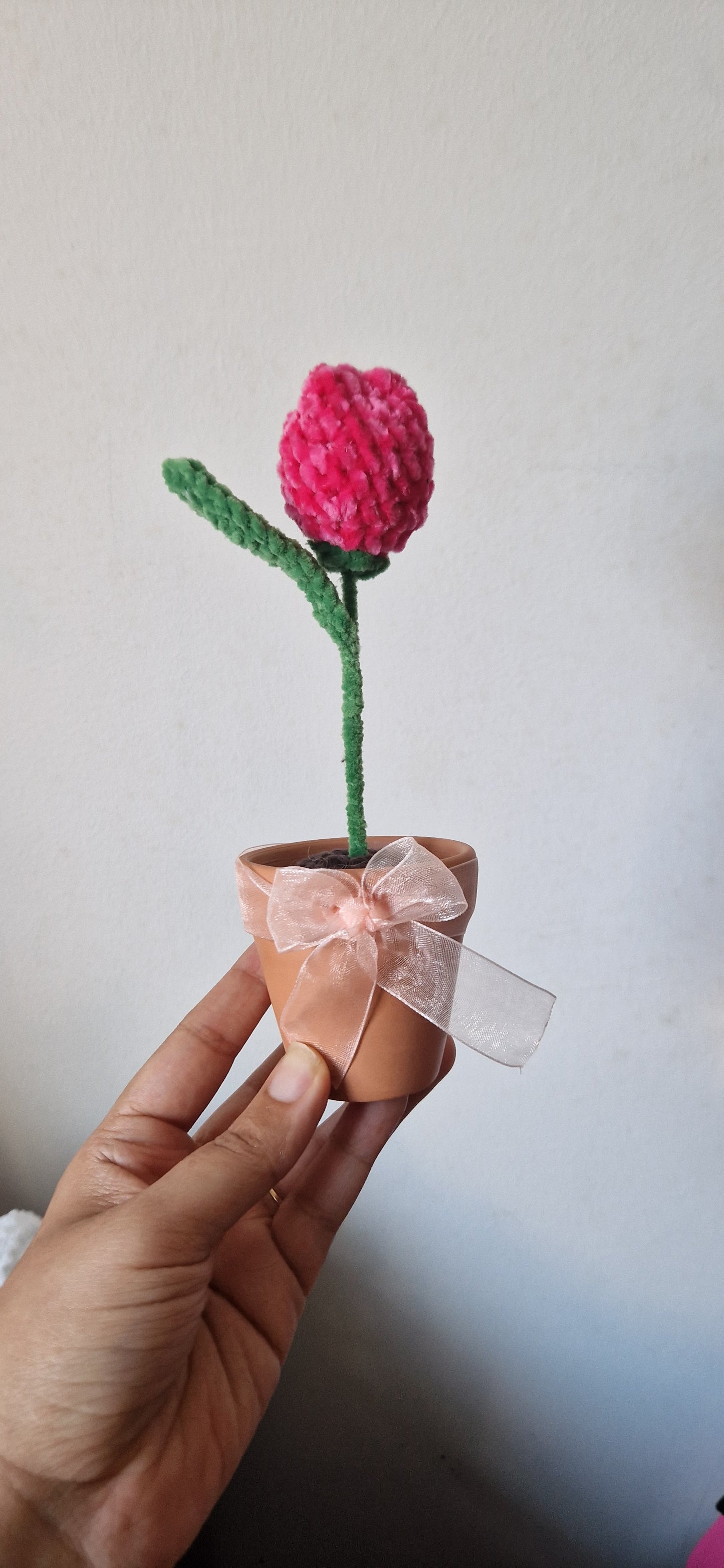 Single Flower - poted or Bouquet wrapped